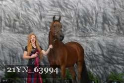 21YN_63994 thumbnail