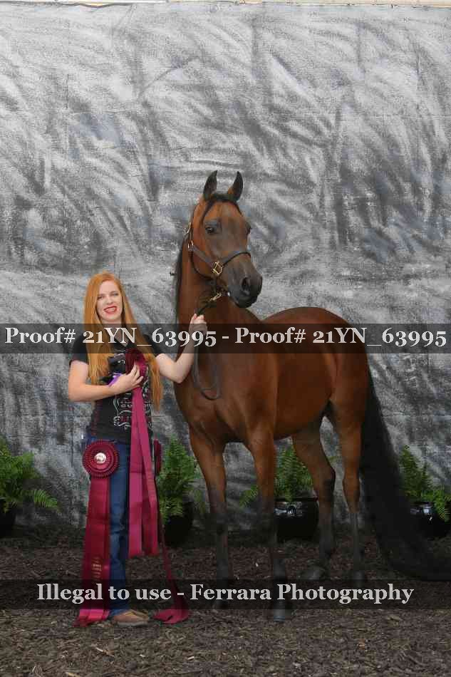 Proof Number 21YN_63995