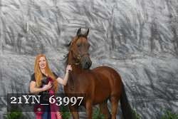 21YN_63997 thumbnail