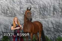21YN_63998 thumbnail