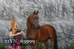 21YN_63999 thumbnail