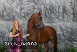21YN_64002 thumbnail