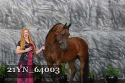 21YN_64003 thumbnail