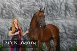 21YN_64004 thumbnail