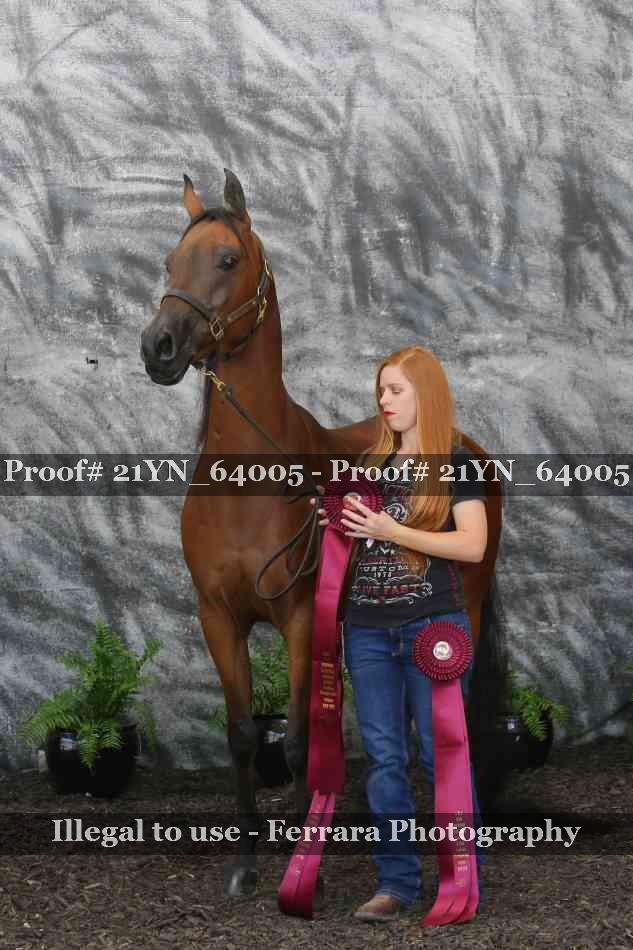 Proof Number 21YN_64005