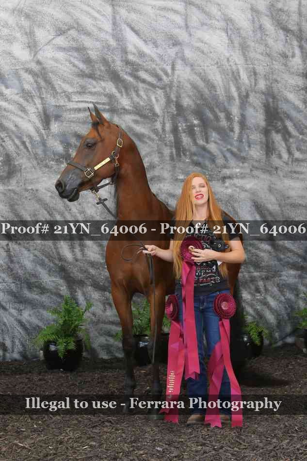 Proof Number 21YN_64006