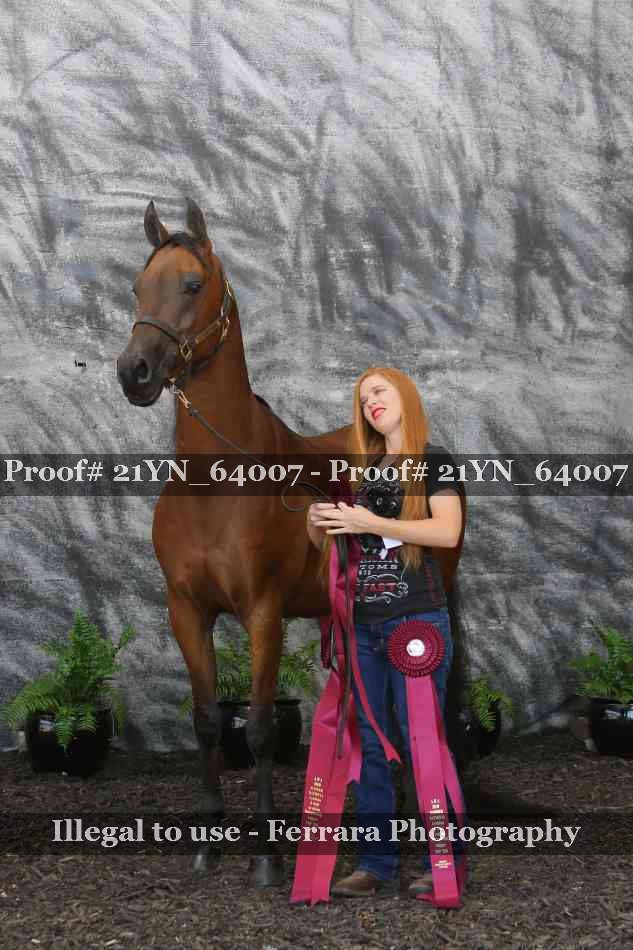 Proof Number 21YN_64007