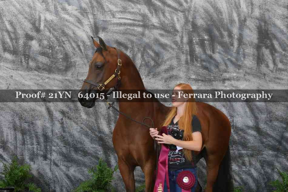 Proof Number 21YN_64015