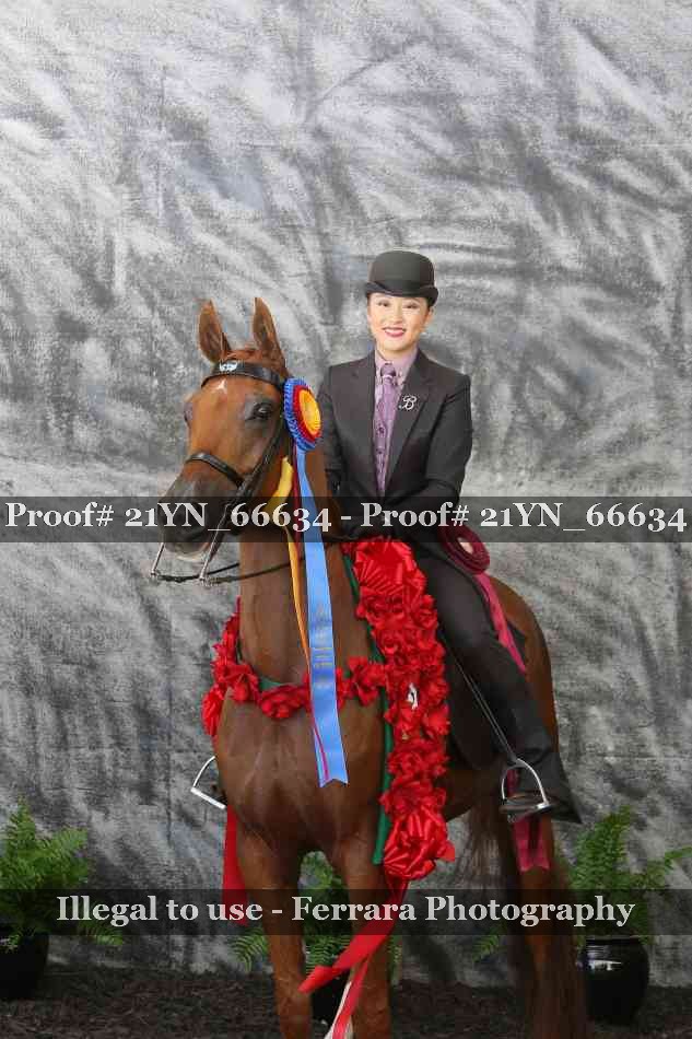 Proof Number 21YN_66634