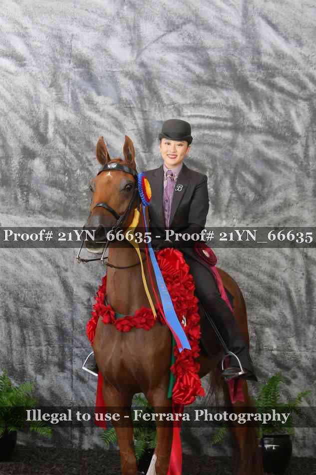 Proof Number 21YN_66635