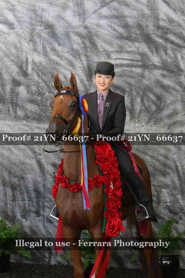 Proof Number 21YN_66637