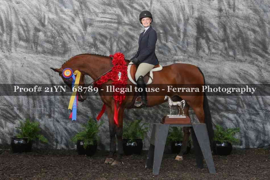 Proof Number 21YN_68789