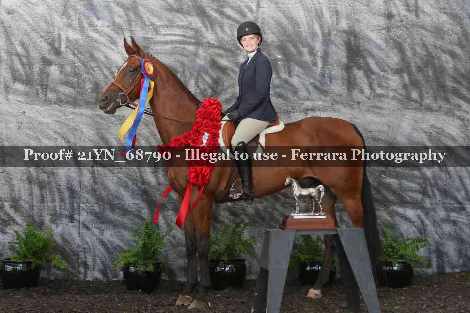 Proof Number 21YN_68790