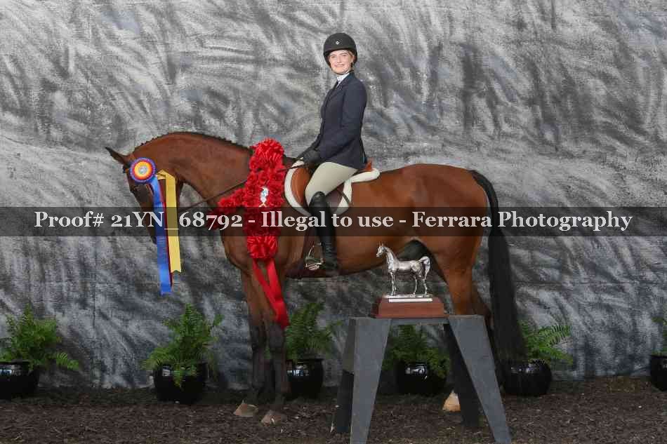 Proof Number 21YN_68792
