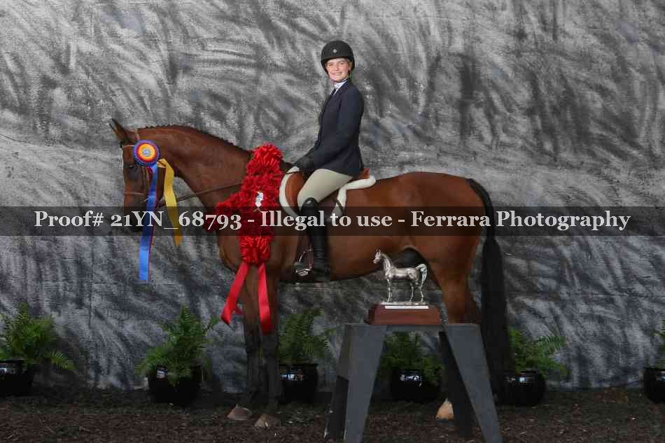 Proof Number 21YN_68793