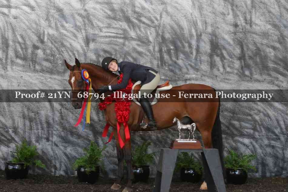 Proof Number 21YN_68794