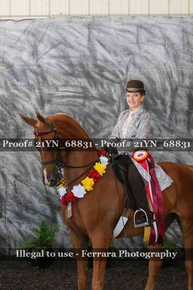 Proof Number 21YN_68831
