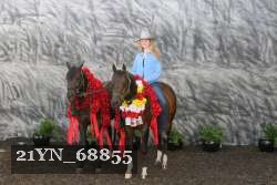 21YN_68855 thumbnail