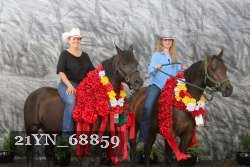 21YN_68859 thumbnail