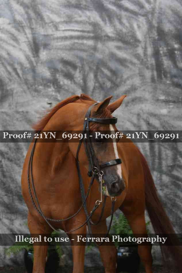 Proof Number 21YN_69291
