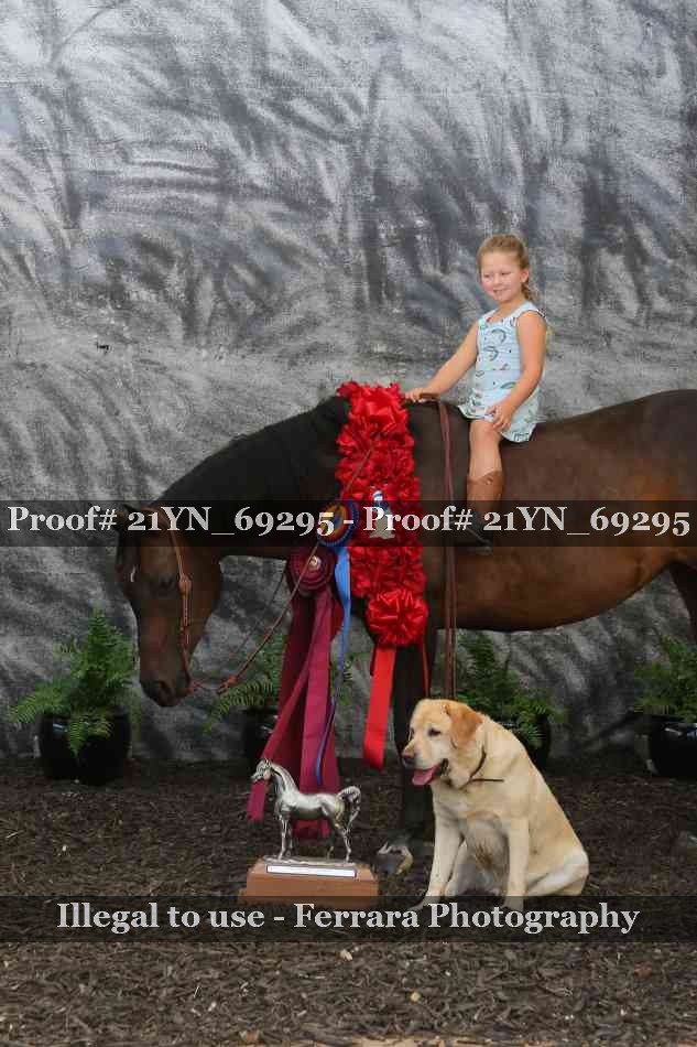 Proof Number 21YN_69295