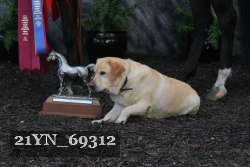 21YN_69312 thumbnail