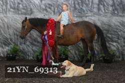 21YN_69313 thumbnail