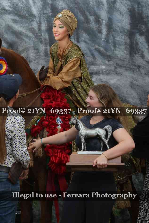 Proof Number 21YN_69337