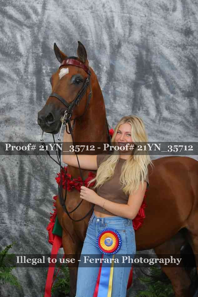 Proof Number 21YN_35712