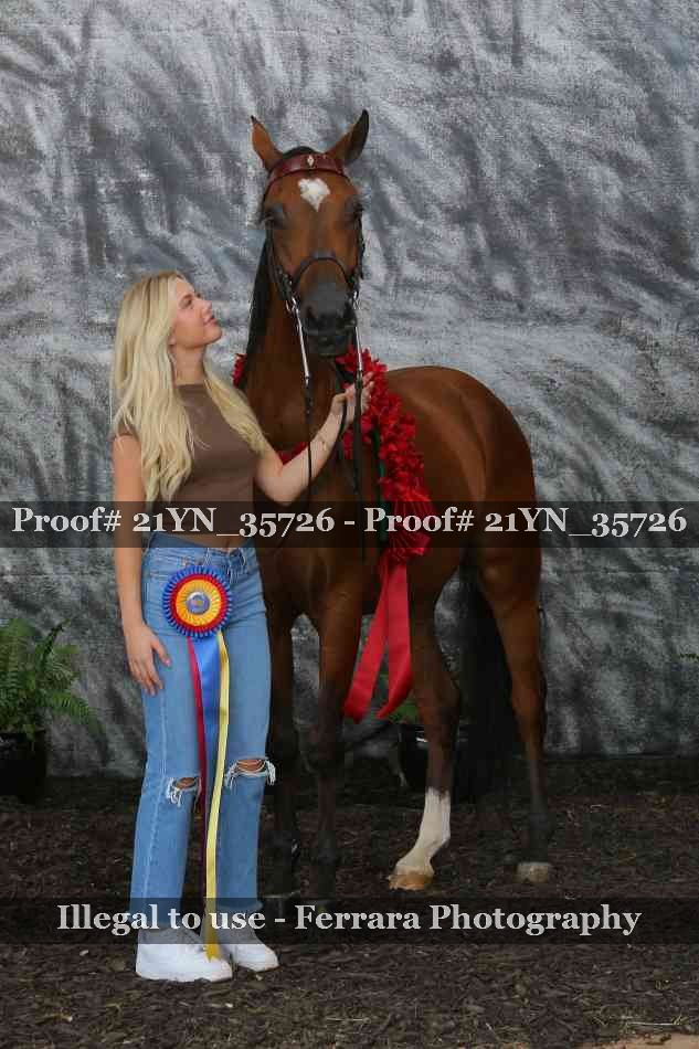 Proof Number 21YN_35726