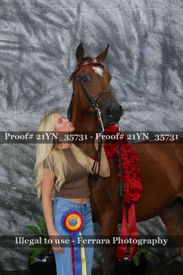 Proof Number 21YN_35731