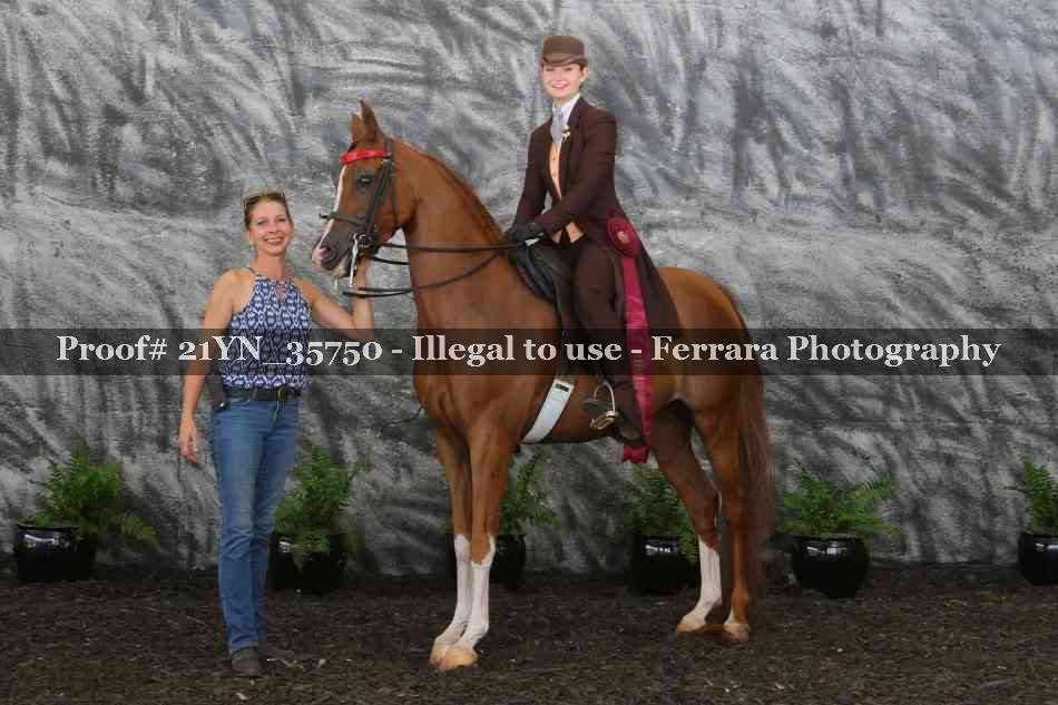 Proof Number 21YN_35750
