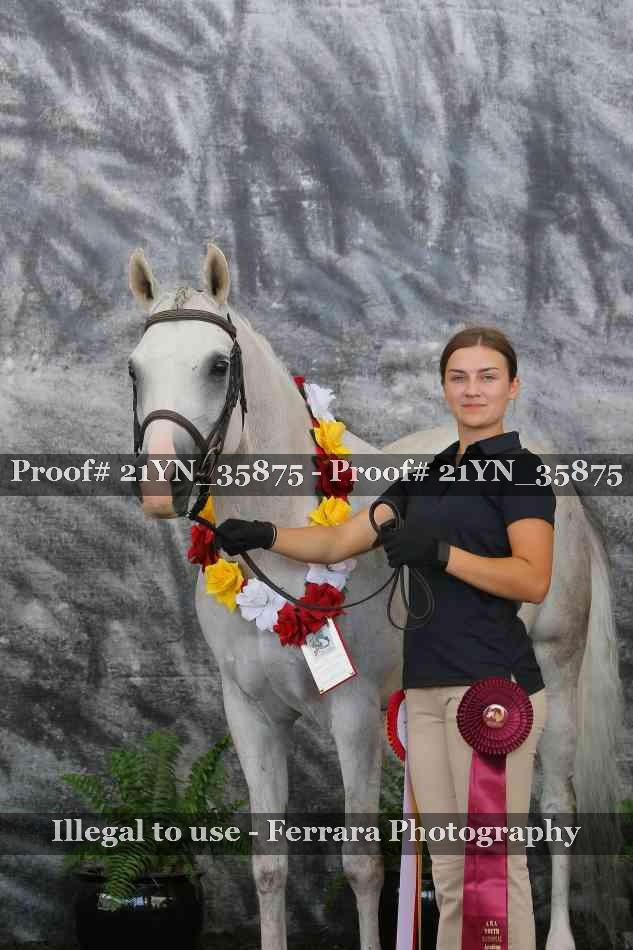 Proof Number 21YN_35875