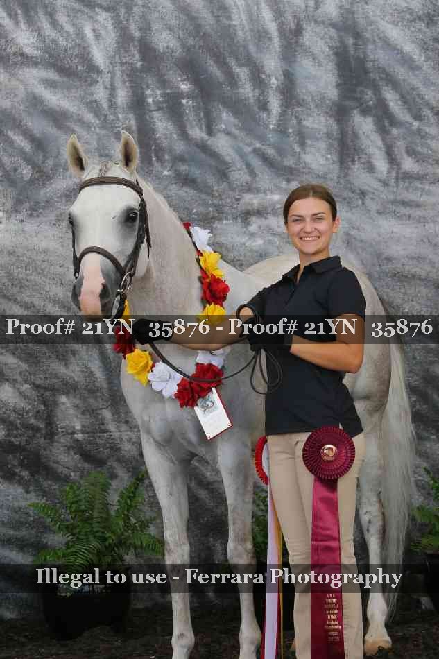 Proof Number 21YN_35876