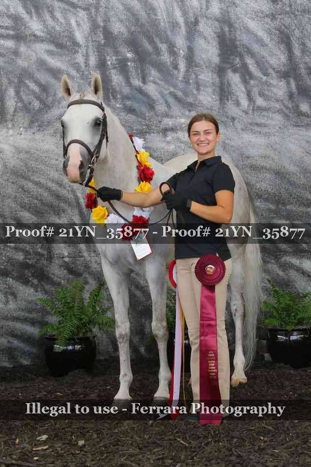 Proof Number 21YN_35877