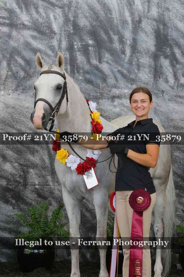 Proof Number 21YN_35879