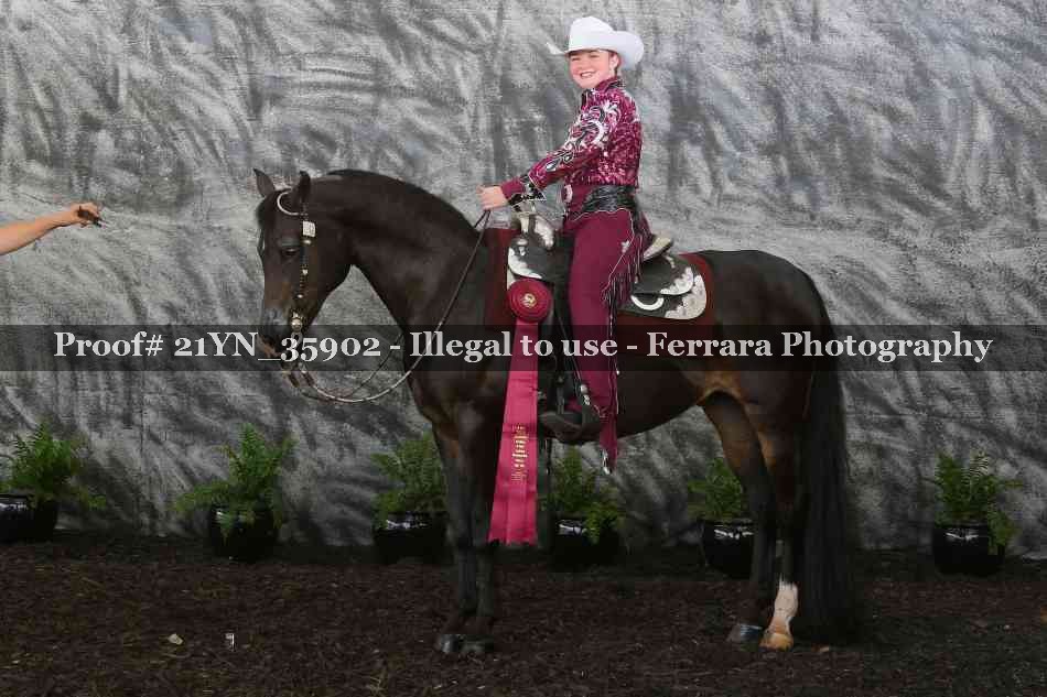 Proof Number 21YN_35902