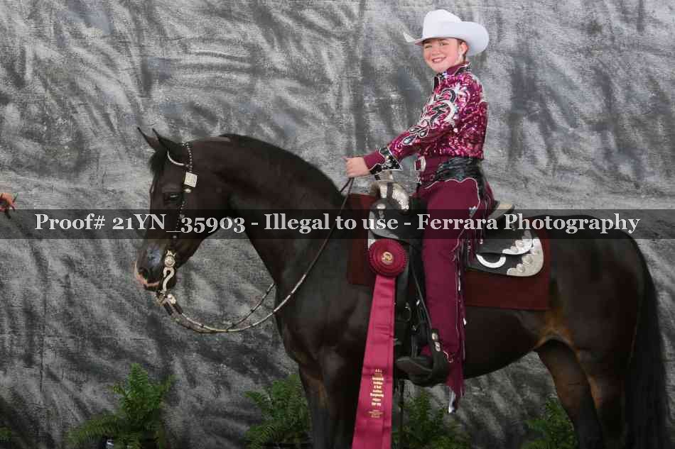 Proof Number 21YN_35903