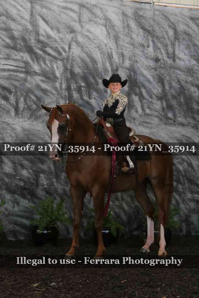 Proof Number 21YN_35914