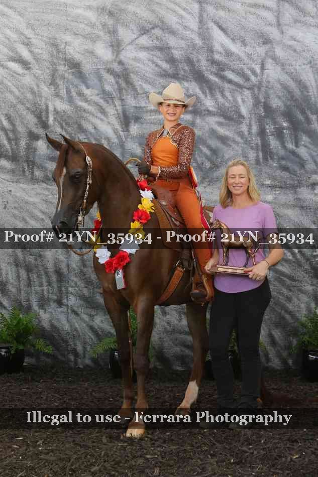 Proof Number 21YN_35934