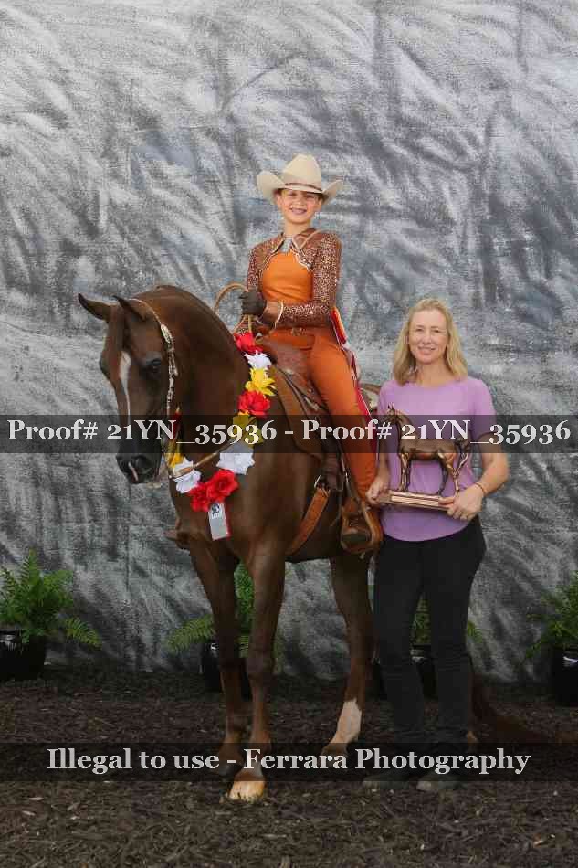 Proof Number 21YN_35936