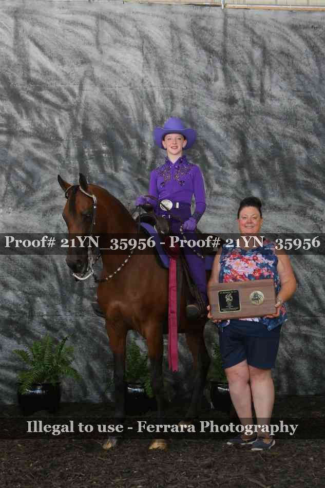 Proof Number 21YN_35956