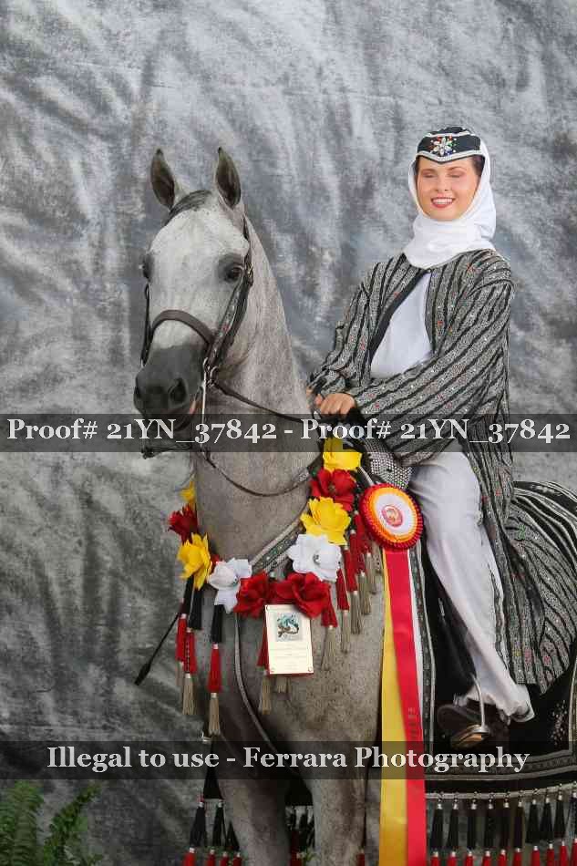 Proof Number 21YN_37842