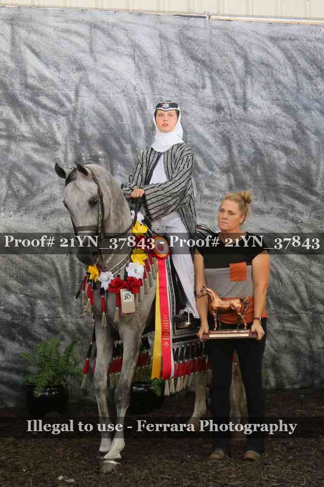 Proof Number 21YN_37843