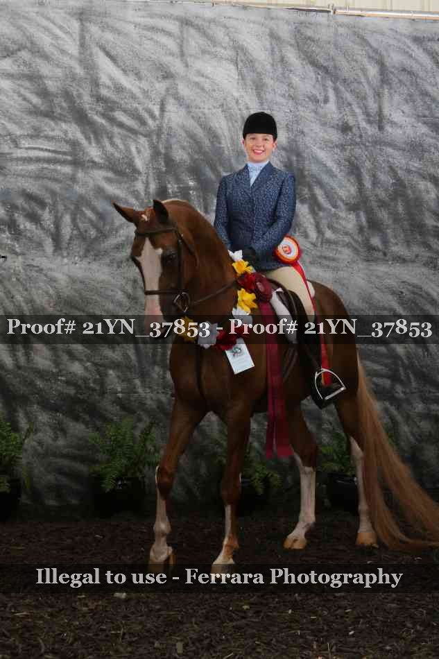 Proof Number 21YN_37853