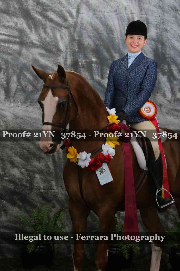 Proof Number 21YN_37854