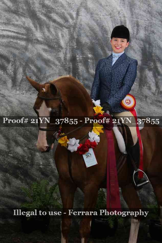 Proof Number 21YN_37855