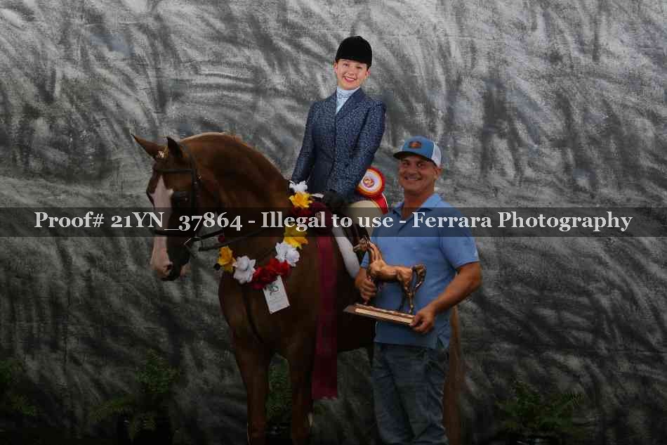 Proof Number 21YN_37864