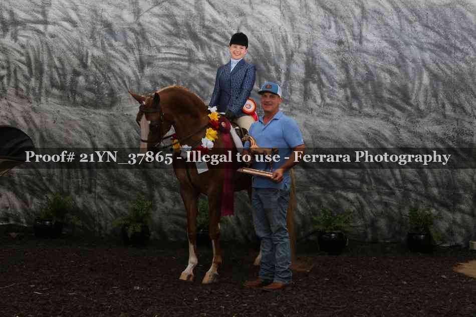 Proof Number 21YN_37865