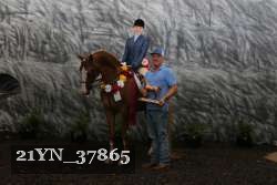 21YN_37865 thumbnail